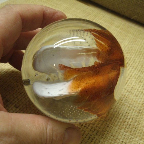 Art Glass Sphere Paper Weight - Picture 13 of 16